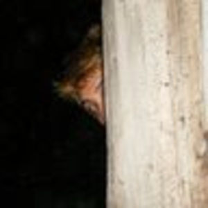 Meet your Posher, Alexandre p.